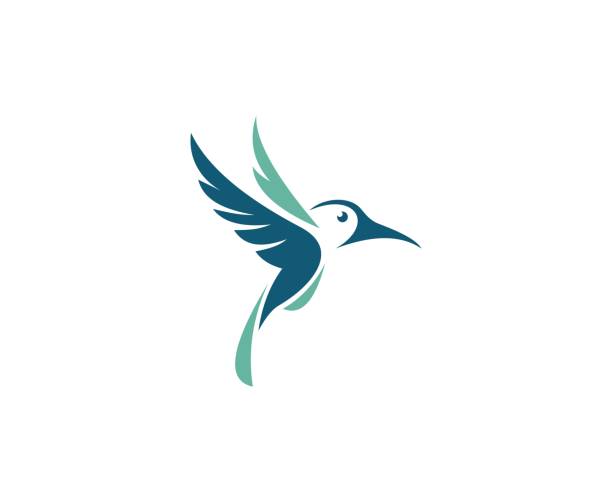 Bird icon This illustration/vector you can use for any purpose related to your business. hummingbird stock illustrations