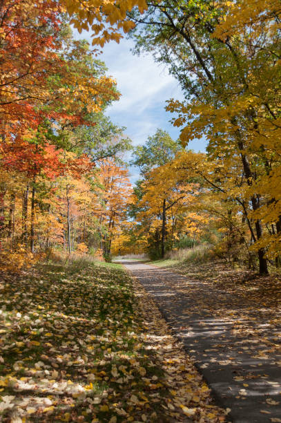 istock Changing Autumn Colors in Michigan 867038826