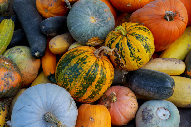 istock Multicolored different vegetables in the box, thanksgiving harvest: pumpkins, gourds, 867046560