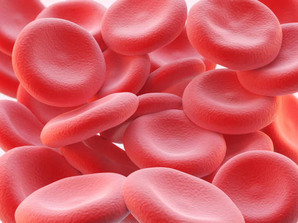 istock 3d illustration of human red blood cells 867052882