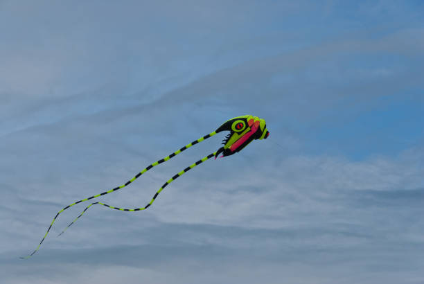 Colorful Kite This colorful kite flies above the beach during the annual Memorial Day Kite Festival at Rockaway Beach, Oregon, USA. jeff goulden oregon coast stock pictures, royalty-free photos & images