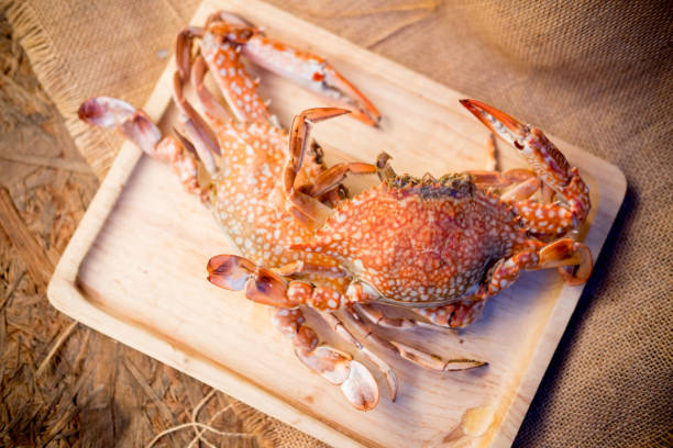istock Blue manna crab ready to eat on wooden tray 867061032