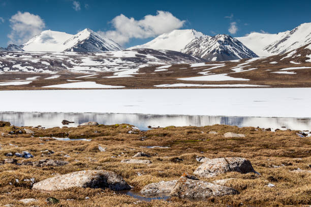 istock Barskoon (Arabel) Syrts at Issyk Kul Region 867062032
