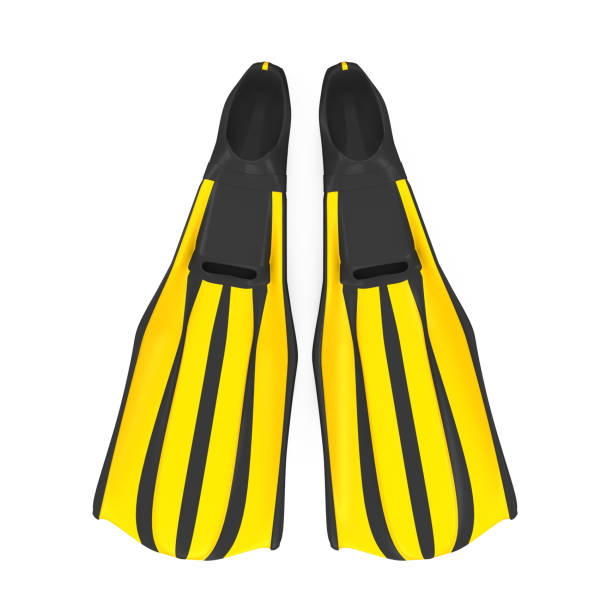 Diving Fins isolated on white background. 3D render