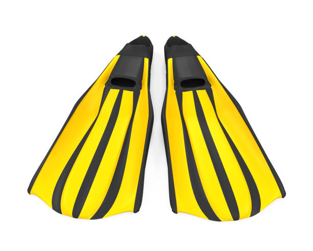 istock Diving Fins Isolated 867068172
