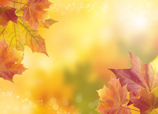 istock Blurred bright autumn background. Abstract colorful bokeh 867071536
