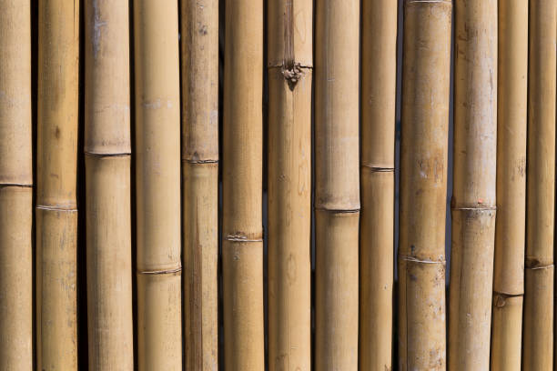 istock Background of natural bamboo 867078442