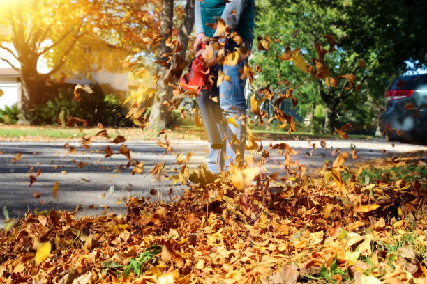 istock Man working with  leaf blower: the leaves are being swirled up and down on a sunny day 867078670