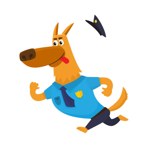 ilustrações de stock, clip art, desenhos animados e ícones de funny shepherd dog character in blue police uniform chasing suspect - humor badge blue crime