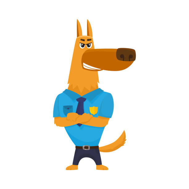 ilustrações de stock, clip art, desenhos animados e ícones de police dog character standing with paws crossed across its chest - humor badge blue crime