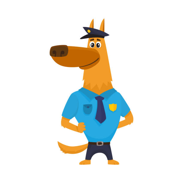 ilustrações de stock, clip art, desenhos animados e ícones de funny shepherd dog character in police uniform standing on guard - humor badge blue crime