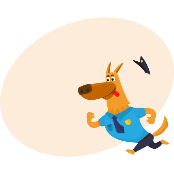 ilustrações de stock, clip art, desenhos animados e ícones de funny shepherd dog character in blue police uniform chasing suspect - humor badge blue crime