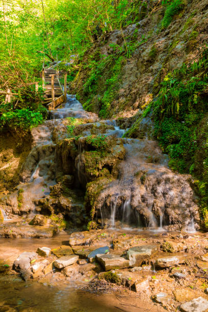 istock Waterfall in park Berendeyevo Tsarstvo, Sochi, Russia 867089734