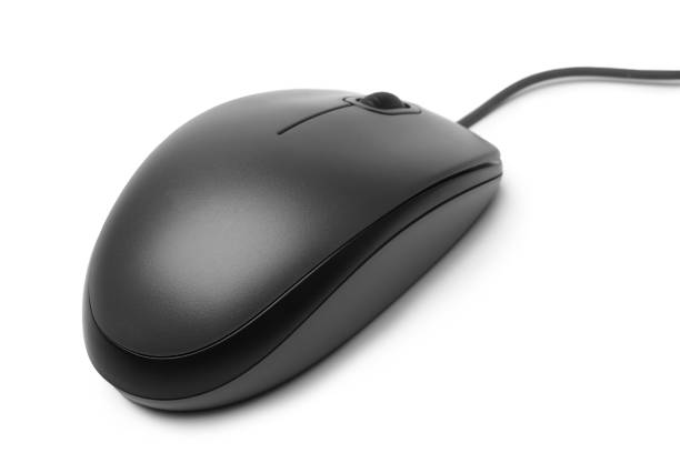Mouse And Computer 14,800+ Mice And Computers Stock Photos, Pictures & Royalty-Free Images ...