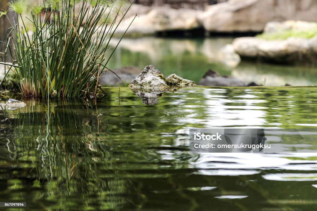 Eau dans la nature, Valence - Photo de Fleuve et rivière libre de droits