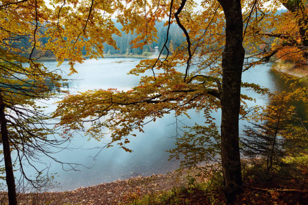 istock Lake Synevyr autumn view. 867098006