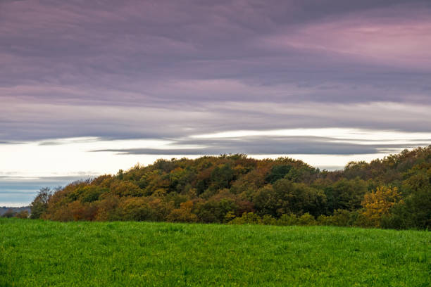 istock Landscape With Autumn Colors 867101614