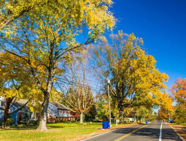 istock Colors of the fall 867102112