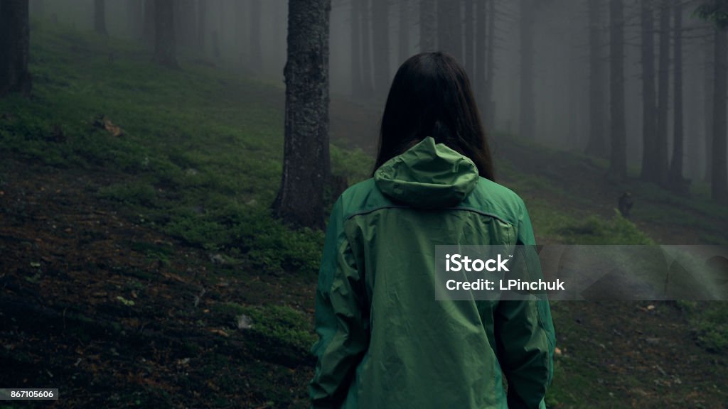 Back view of a young woman hiking in forest Hiking woman walking in gloomy mystical forest - thriller scene. Wide-angle lens. Close-up Thriller - Film Genre Stock Photo