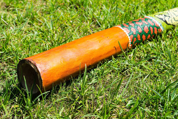 Didgeridoo on the grass Didgeridoo - traditional aboriginal music intrument from Australia didgeridoo stock pictures, royalty-free photos & images