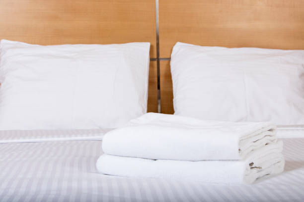 istock Interior of a double bed hotel room 867107510