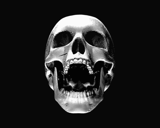 Engraving skull illustration scream on black BG Engraving monochrome front view skull illustration screaming on dark background skulls stock illustrations