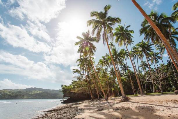 istock Sightseeing in Namale Fiji 867117344