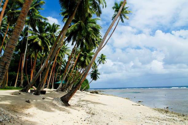 istock Sightseeing in Namale Fiji 867117730