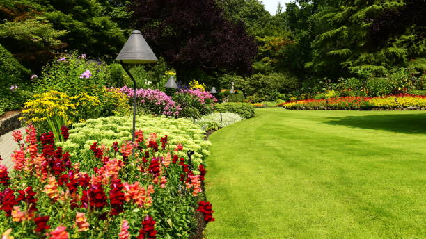 istock Beautiful flowers in Sunken garden 867123622