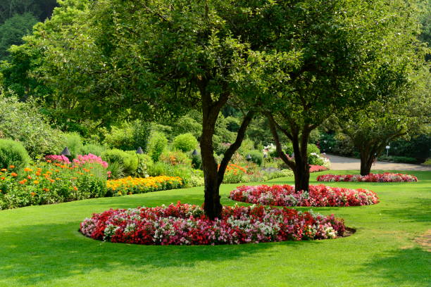 ブッチャート ガーデンに美しい花や木 - landscaped spring canada footpath ストックフォトと画像