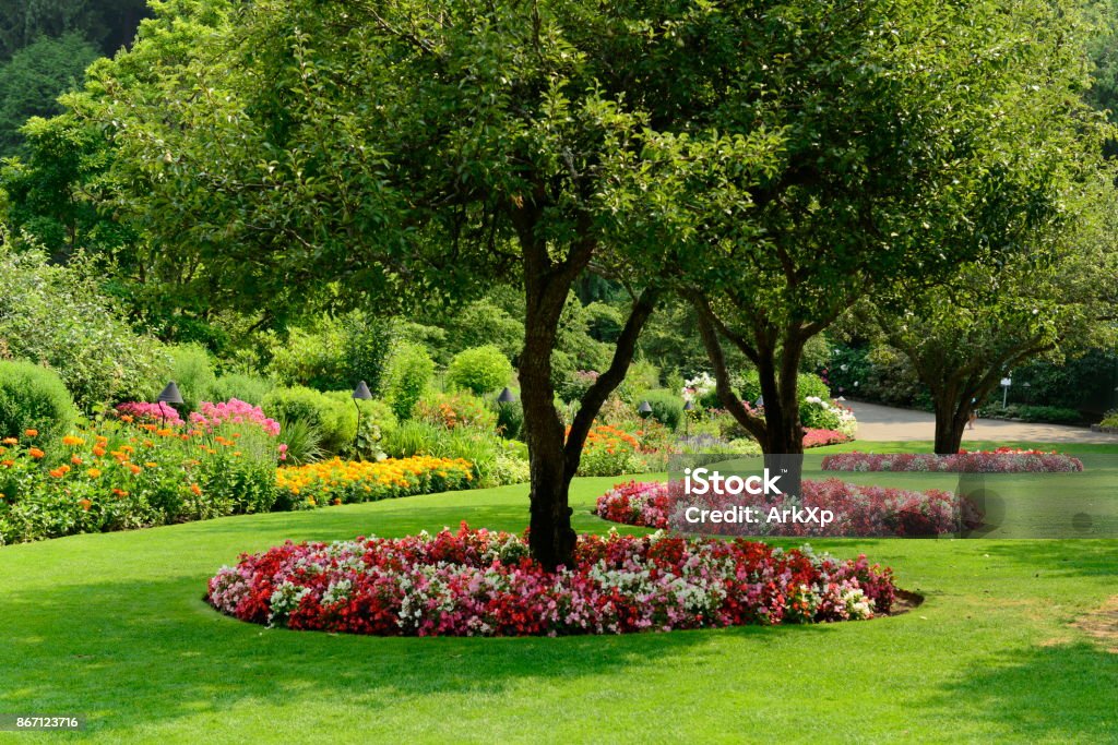 Beautiful flowers and trees in Butchart Gardens Beautiful flowers and trees in Butchart Gardens, Vancouver Island, BC, Canada Beauty Stock Photo