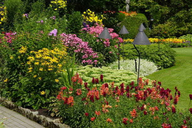 bellissimi fiori nel giardino sommerso - landscaped spring canada footpath foto e immagini stock