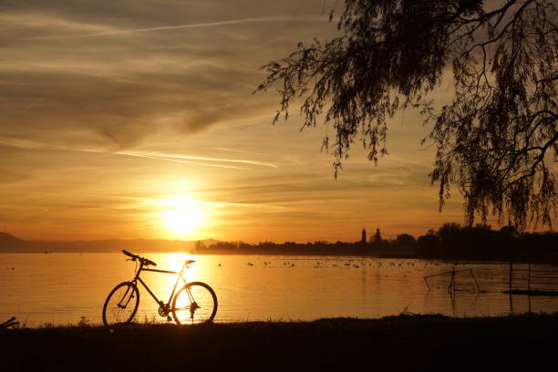 Bicycle near the lake