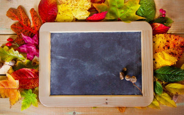 istock blackboard with autumn leaves and berries on the table 867124452
