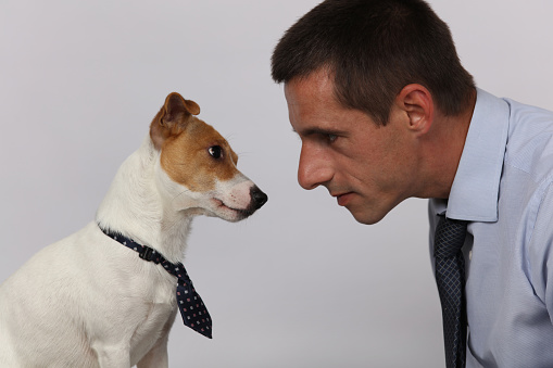 Funny portrait of elegant man and his dog. Dog and owner matching clothes