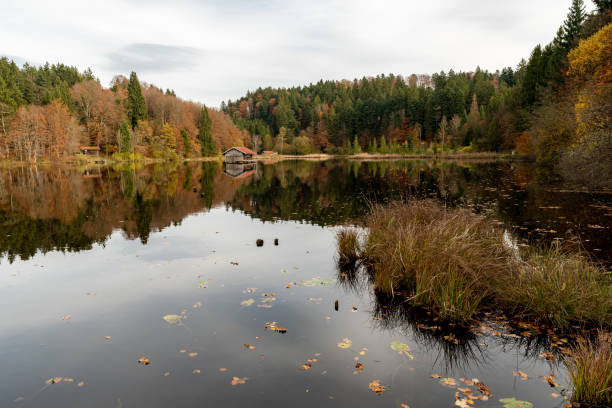 istock View to the great autmn forest 867129116