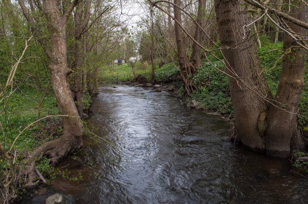 istock Fladsaa river in the forest near Mogenstrup in Denmark 867132628