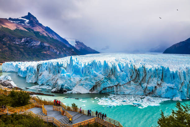Glacier Perito Moreno in the Patagonia Grandiose glacier Perito Moreno in the Argentine part of Patagonia. The concept of ecological and extreme tourism. Large and comfortable observation deck for tourists patagonia argentina photos stock pictures, royalty-free photos & images