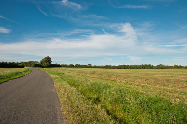 istock Danish countryside road near Ugledige in Denmark 867136428