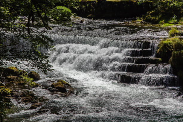 istock the sources of the river Loue 867136816