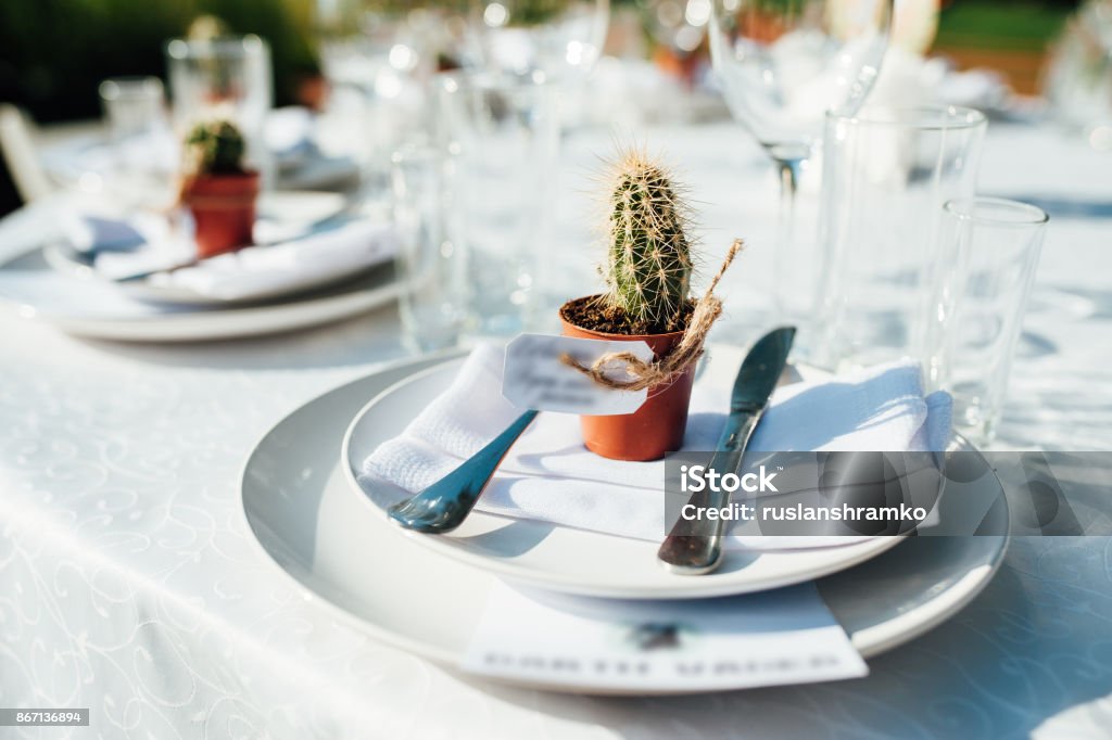 Mesa servida com suculentas para jantar - Foto de stock de Agave royalty-free