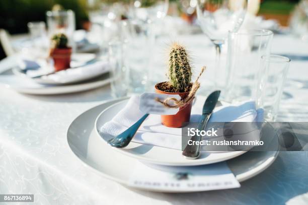 Foto de Mesa Servida Com Suculentas Para Jantar e mais fotos de stock de Agave - Agave, Arranjar, Arranjo de Flores