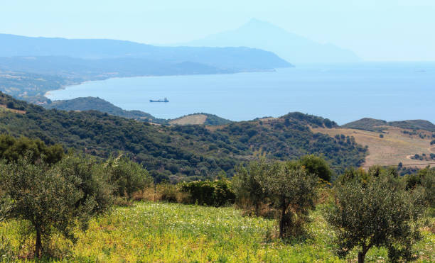 istock Beautiful summer seascape (Halkidiki, Greece). 867137738