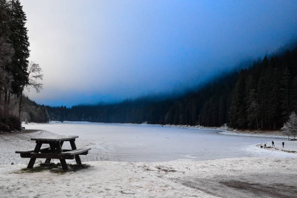 istock Empty bench at the side of a foggy lake 867143582