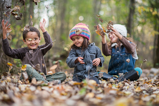 Three ethnic siblings are outdoors in a forest on an autumn day. They are wearing warm clothes. They are sitting in fallen leaves and tossing them into the air.