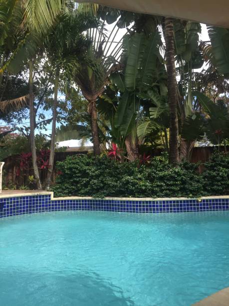 istock Outdoor swimming pool 867156482