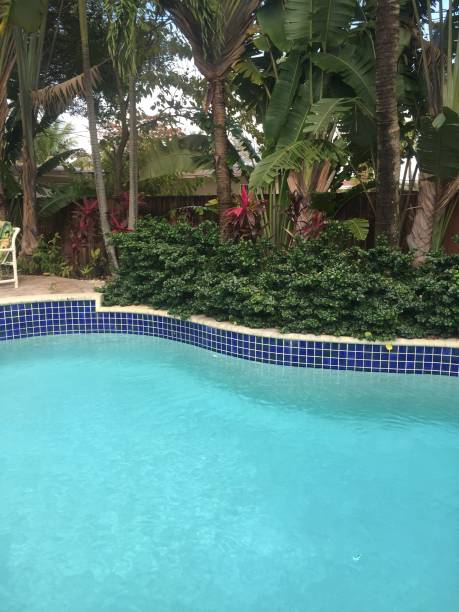 istock Outdoor swimming pool 867156502