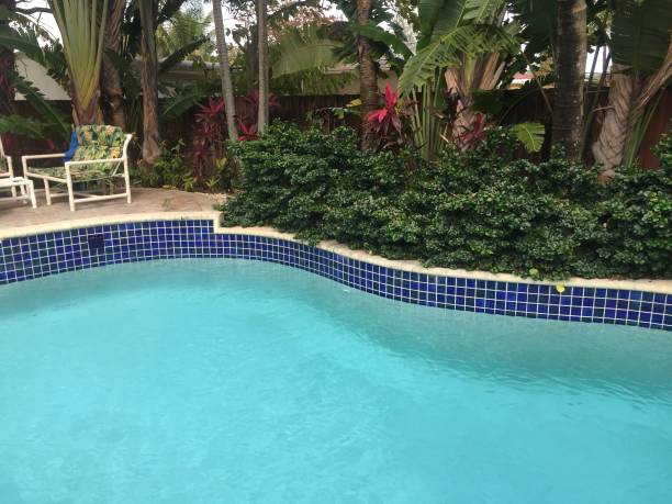 istock Outdoor swimming pool 867156518