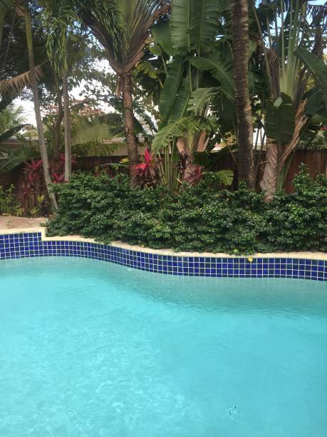 istock Outdoor swimming pool 867156522