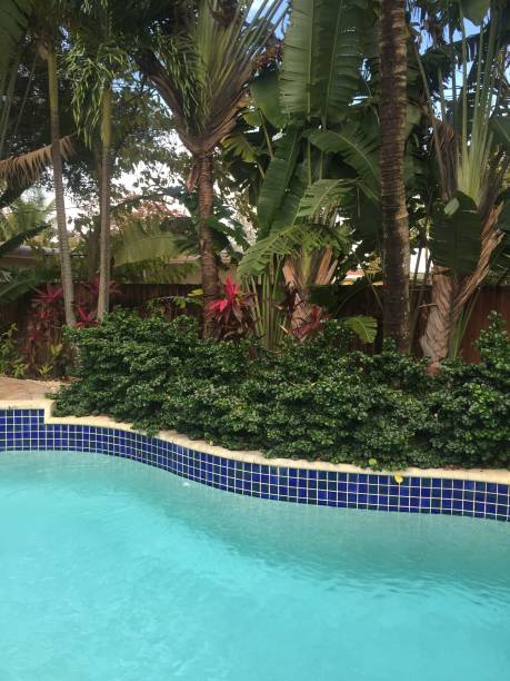istock Outdoor swimming pool 867156532